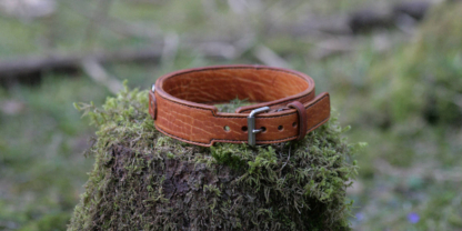 Leather collar for a dog