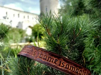 Dark brown wide belt is set onto the pine tree branch. Behind the tree branch and the belt there is a glimpse of Tallinn Old Town city wall with a red stone roof tower.