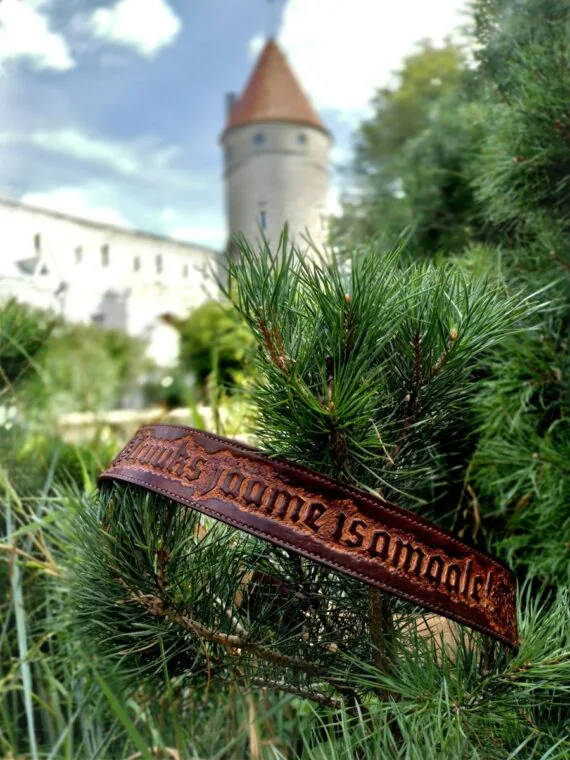 Dark brown wide belt is set onto the pine tree branch. Behind the tree branch and the belt there is a glimpse of Tallinn Old Town city wall with a red stone roof tower.