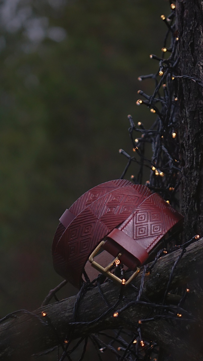 Red toned belt is set onto the dark brown tree branch, surrounded by some sparkling little lights. There is lot's of deep green colors on the background which comes from the forest trees.