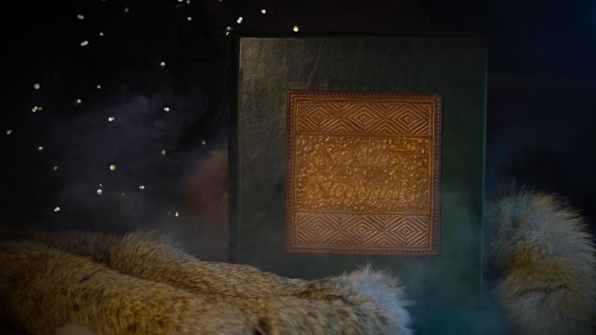 Green photo album is set onto fur and surrounded with a this magical smoke. It has a light brown application on the front cover.