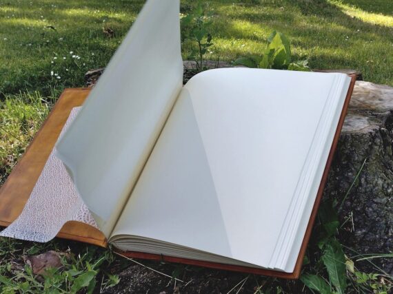 Yellow photo album is opened and placed onto the tree stump, surrounded by green grass, sun spots on the grass and few small white flowers.