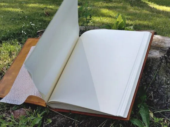 Yellow photo album is opened and placed onto the tree stump, surrounded by green grass, sun spots on the grass and few small white flowers.