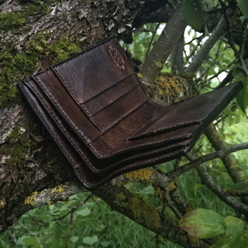 Leather wallet with eagle image, view to the inside of the wallet
