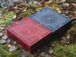 Large boxes in mahogany and blue are set side by side onto the forest ground. There are leaves all over the ground and some moss is visible between the tree roots.