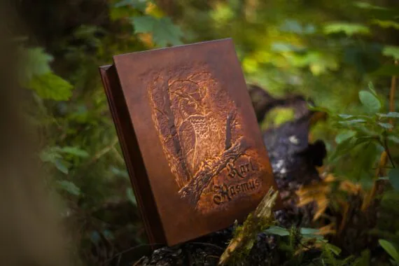 Box is set upright onto the fallen tree trunk. Photo shows the beautiful and detail rich image carved onto the lid piece. There is an owl sitting on the tree branch, surrounded by a forest scene; distant trees and branches behind it. the main color of the box is medium brown. But it is dyed so that the carved image has lighter parts in it. this way the image pops even more and all the details may shine even better.