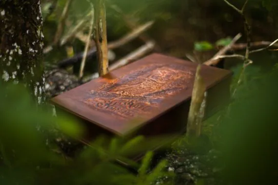 The box is set onto the fallen tree trunk. Photo shows the box of the certain angle where you may observe the cover decoration, one corner and two sides.