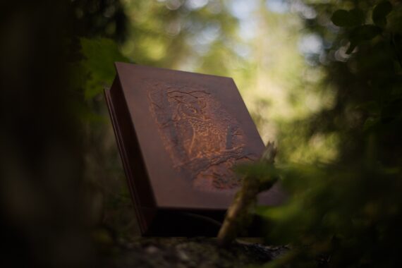 Leather box is photographed from the lower point of view upwards so the deeply carved image may be observed in the best way.