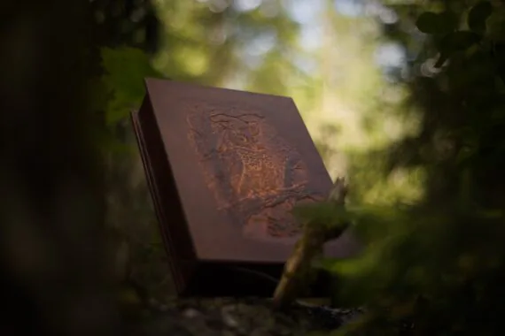 Leather box is photographed from the lower point of view upwards so the deeply carved image may be observed in the best way.