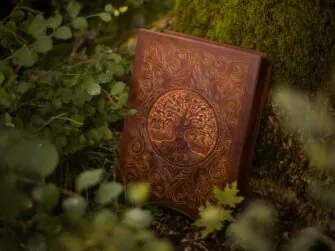 Leather box is set leaning upright, leaning to the tree trunk that is covered by moss. There are green plants surrounding the scene. This photo showcases the carvings on the leather box. There is a deeply carved iggdrasil tree in the center of the box lid. It is placed inside a circle frame. Remaining of the rectangular shaped cover is decorated by more and less deeply carved curvy motifs. That acts as an extension for the simple circle frame, makes the box look interesting but does not shadow the centerpiece. The box is medium brown color.