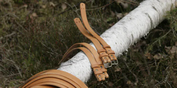 Leather straps are set onto the fallen birch tree trunk. The straps are in various sizes, natural color.