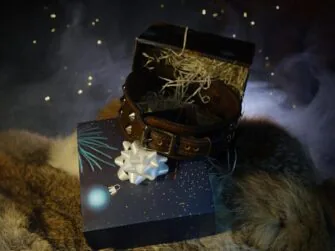 Collar is placed into a dark blue gift box which is opened so the viewer may have a good look at the buckle. The whole scene is surrounded by magical thin smoke.