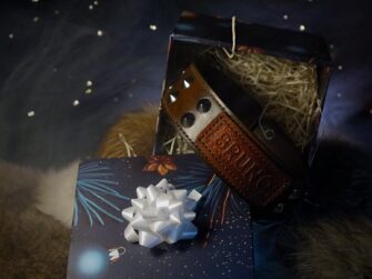 Collar is placed into a dark blue gift box which is opened so the viewer may have a good look at it. The whole scene is surrounded by magical thin smoke.