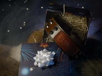 Collar is placed into a dark blue gift box which is opened so the viewer may have a good look at it. The whole scene is surrounded by magical thin smoke.