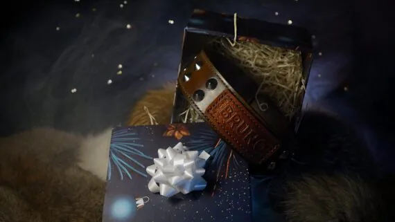 Collar is placed into a dark blue gift box which is opened so the viewer may have a good look at it. The whole scene is surrounded by magical thin smoke.