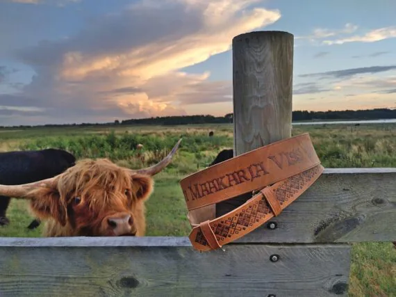 Two wide collars set onto the fence post. Behind the fence there is a hairy cow looking back at the viewer. Collars are decorated by pyrography technique - by some pattern and text.