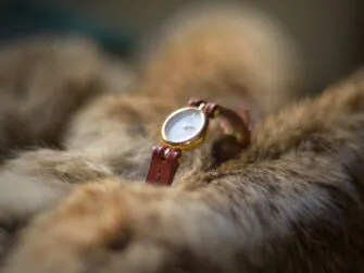 Tiny watch with a mahogany colour narrow strap is placed onto the fur.