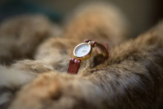Tiny watch with a mahogany colour narrow strap is placed onto the fur.
