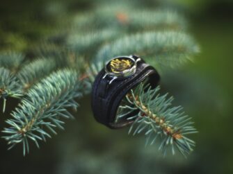 Pildil on käeehe, mis koosneb medaljonist ning musta värvi nahast osiste / rihmade kombinatsioonist. Pildil on rihm kinnistelt, pistetud häbemänni oksa tipule ning seda saab vaadelda sarnaselt, milline see välja näeb, kui see randmele kinnitatud on. Kihid on erineva laiusega, altpoolt üles järjest kitsamad ning nõnda on medaljon justkui kahekordselt raamitud.
