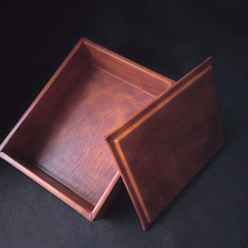 Karp on valmistatud kahekordsest 3mm köitepapist ning kaetud taimparknahaga.