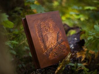 Karp on asetatud püsti maha lahgenud puutüvele. Pilt esitleb karbi kaanele voolitud uhket kaunistuspilti. Sellel on öökull puuoksal, taamal paistab veel puid, puuoksi, metsa. Karp on keskmist karva pruuni värvi ning värvimisel on pildi osas värviga mängitud nõnda, et see on kahe tooniline. see toob nahale voolitud pildi erksamalt esile ning rõhutab pildi ruumilisust veelgi.
